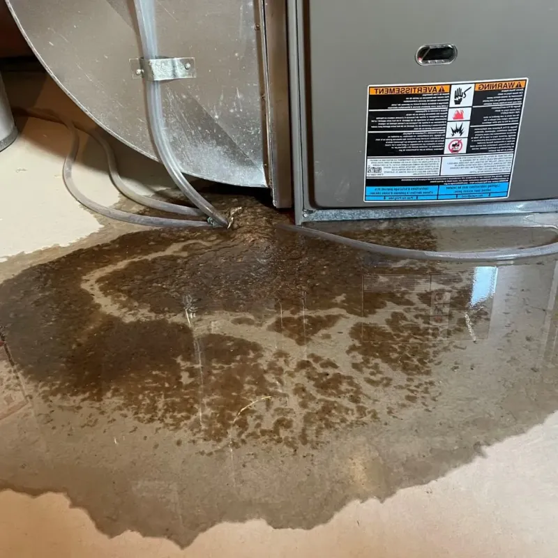 Pipe Burst and Leak Restoration in Strasburg, OH
